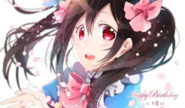 妮可动漫,青春校园的梦幻画卷