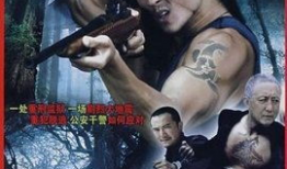 电视剧大追捕,生死较量，正义终将胜利