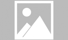 红 动漫,热血动漫的激情岁月