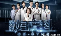 产科医生第2部电视剧,守护生命之光